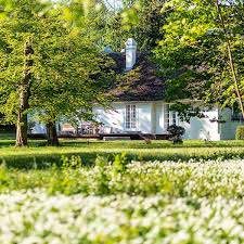 Blühende Wiese unter alten Bäumen